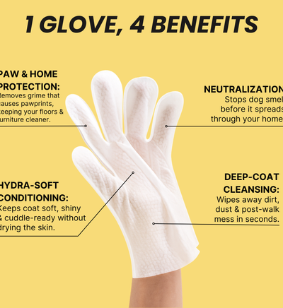 Coatlab™ Grooming Gloves