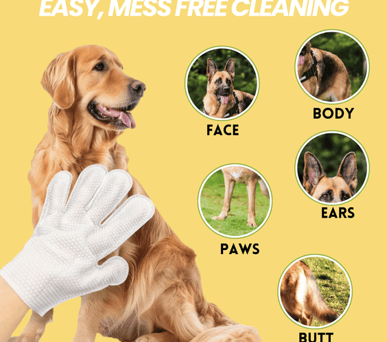 Coatlab™ Grooming Gloves