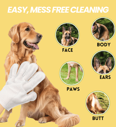 Coatlab™ Grooming Gloves