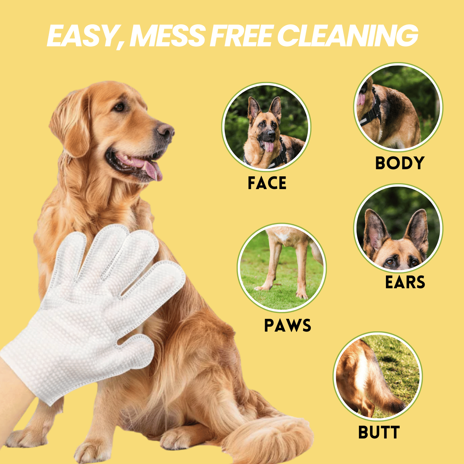 Coatlab™ Grooming Gloves