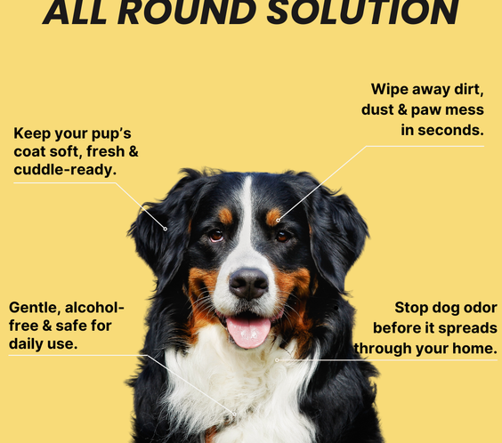 Coatlab™ Grooming Gloves