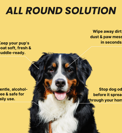 Coatlab™ Grooming Gloves