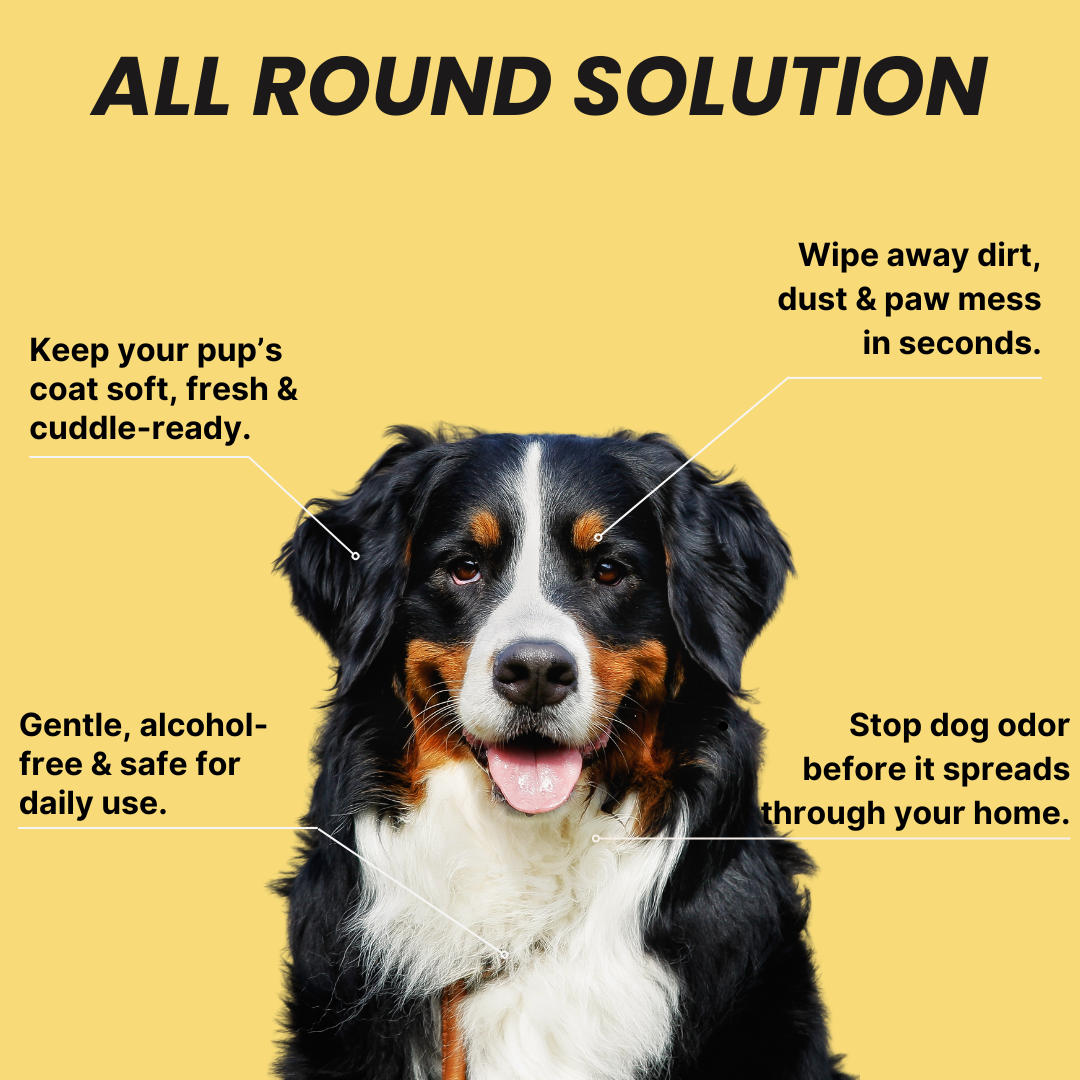 Coatlab™ Grooming Gloves