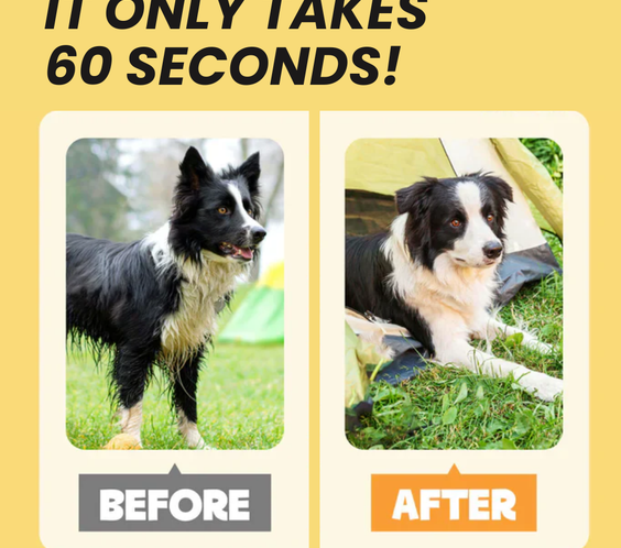 Coatlab™ Grooming Gloves