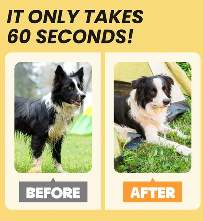 Coatlab™ Grooming Gloves