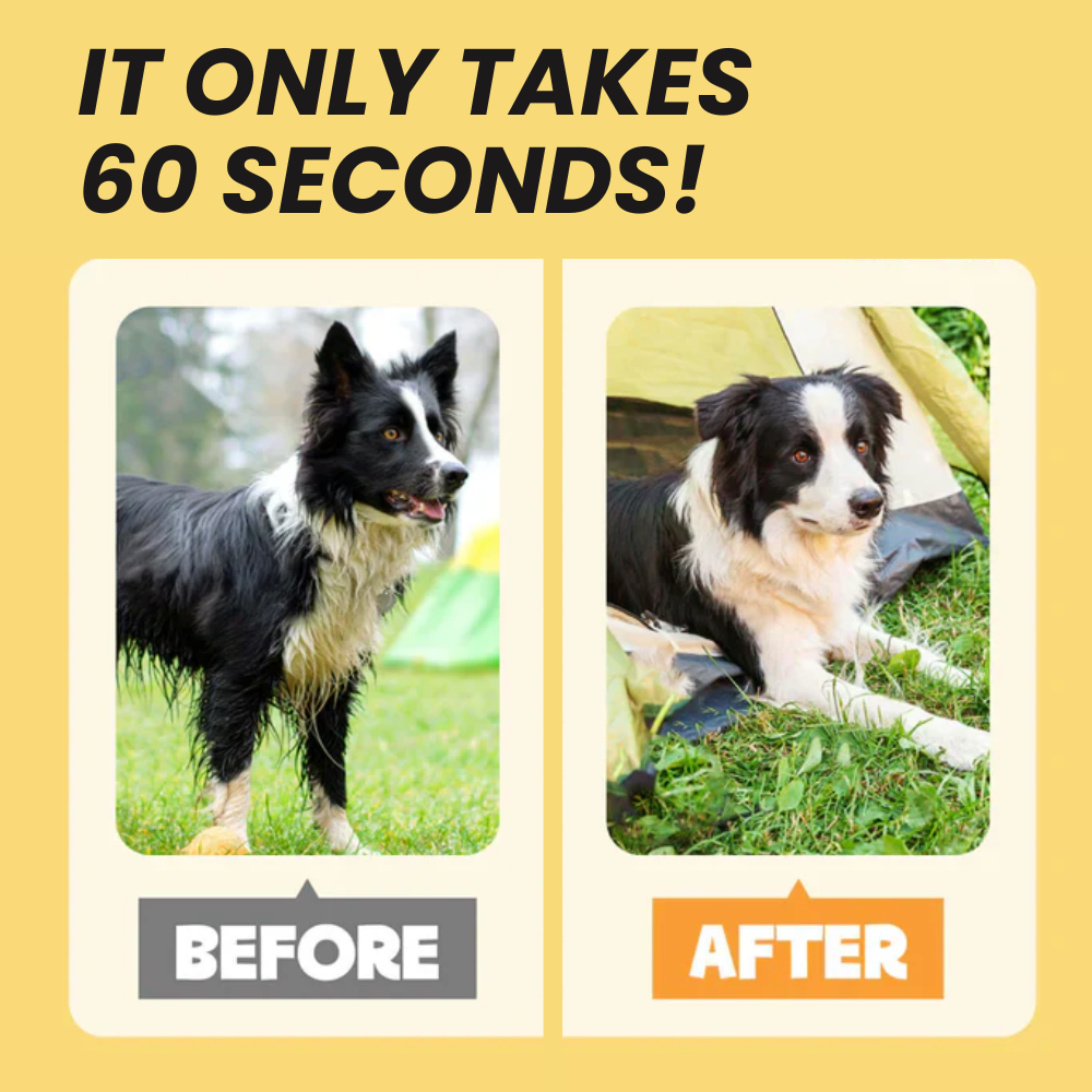 Coatlab™ Grooming Gloves