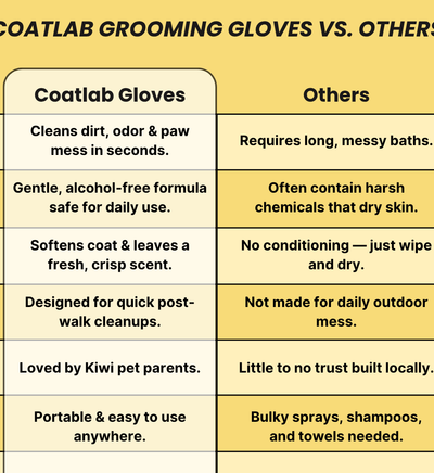 Coatlab™ Grooming Gloves